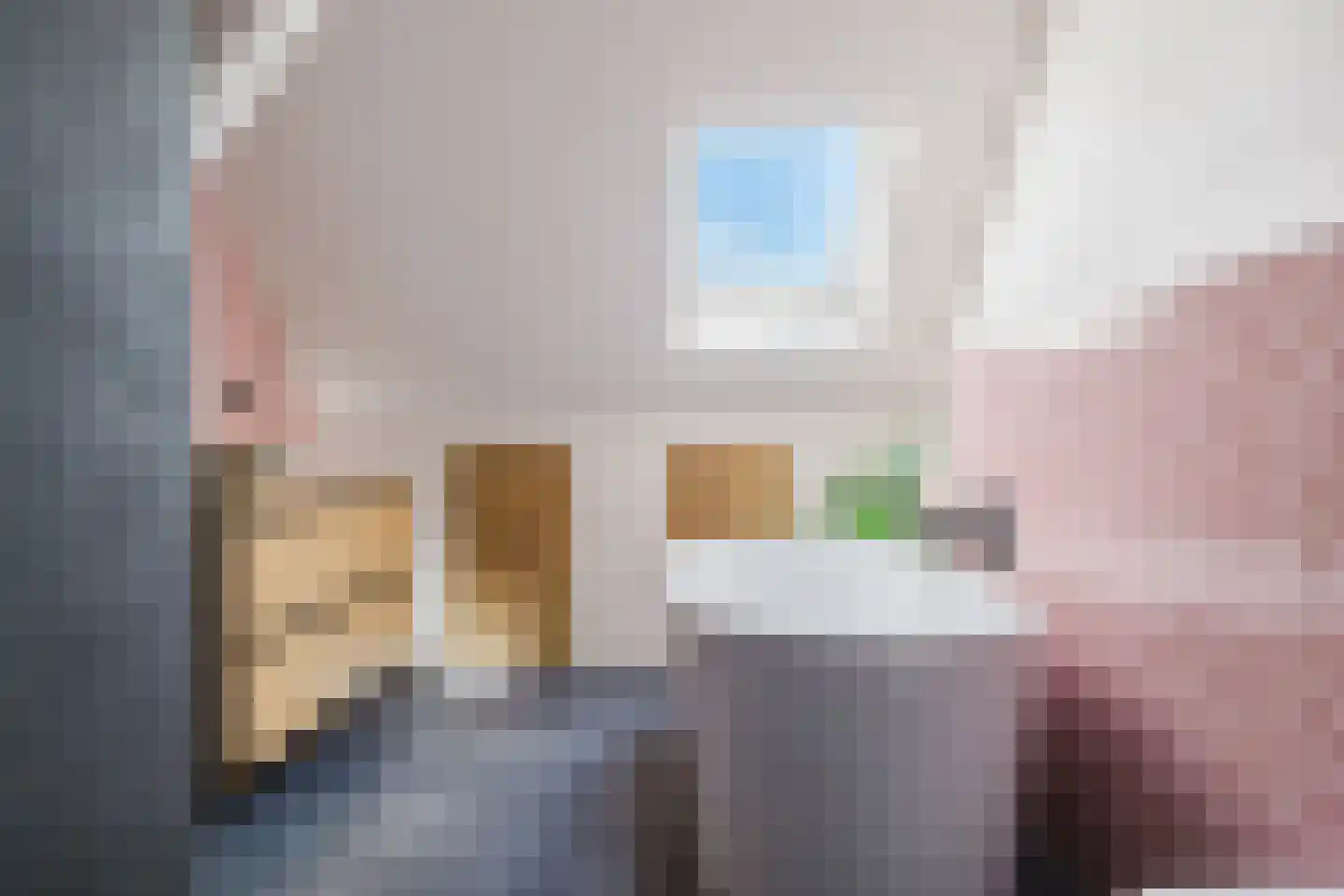 Boerestreek 1 Lippenhuizen thumbnail 49
