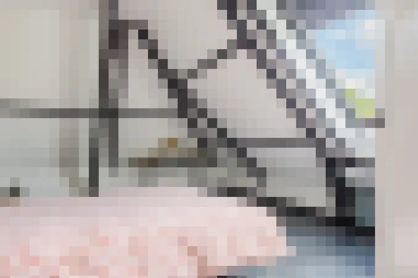 Boerestreek 1 Lippenhuizen thumbnail 57