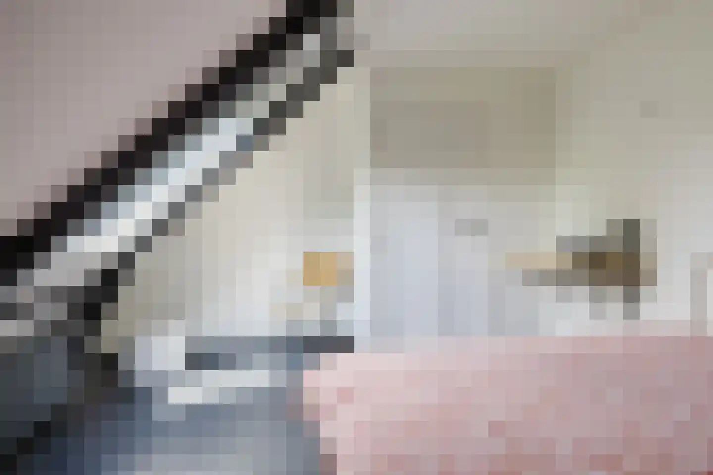 Boerestreek 1 Lippenhuizen thumbnail 59
