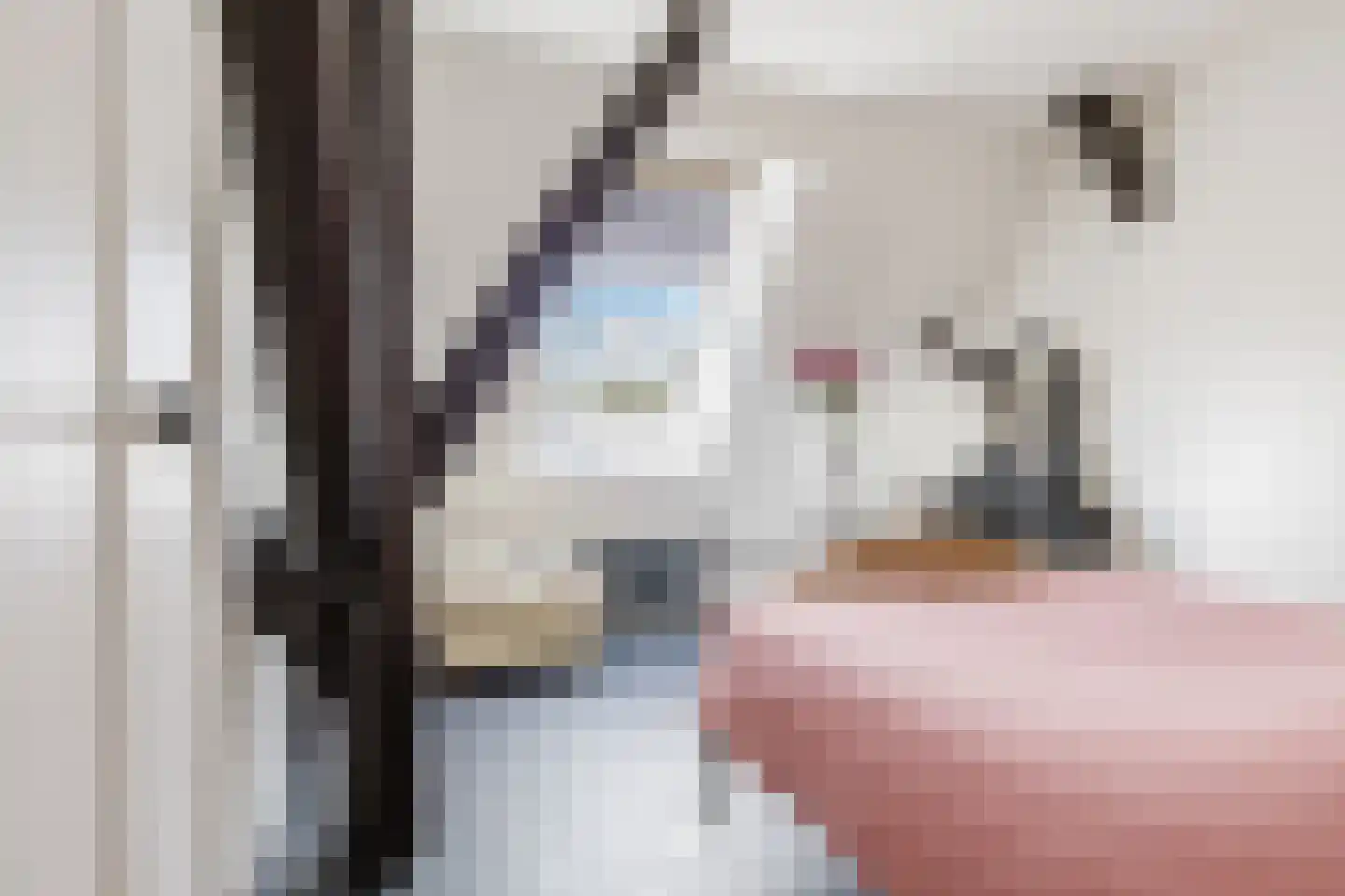 Boerestreek 1 Lippenhuizen thumbnail 61