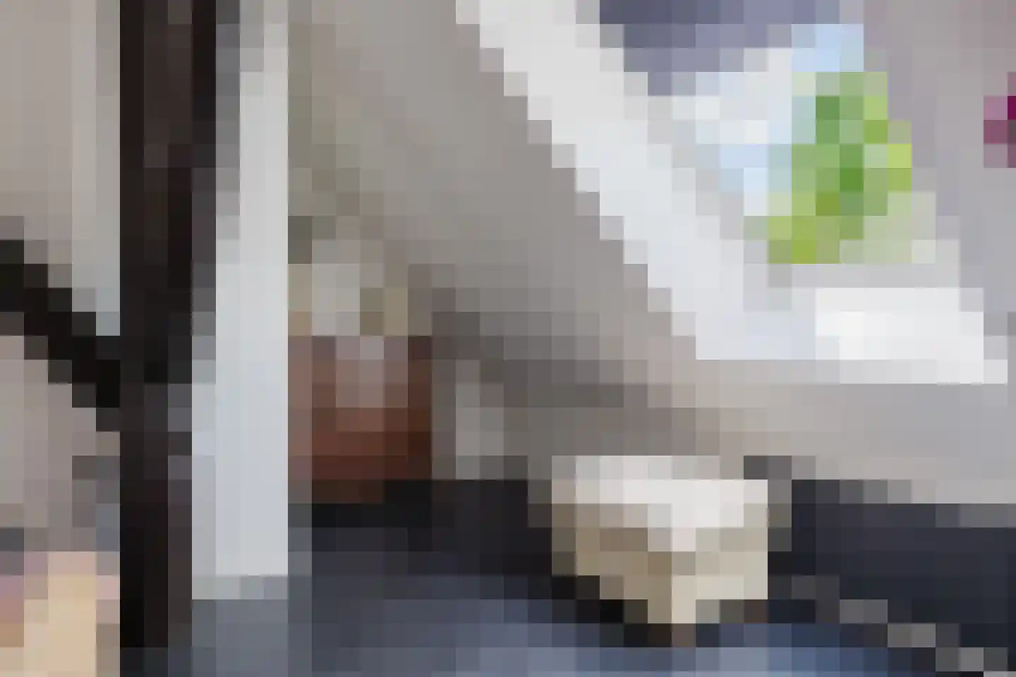 Boerestreek 1 Lippenhuizen thumbnail 62