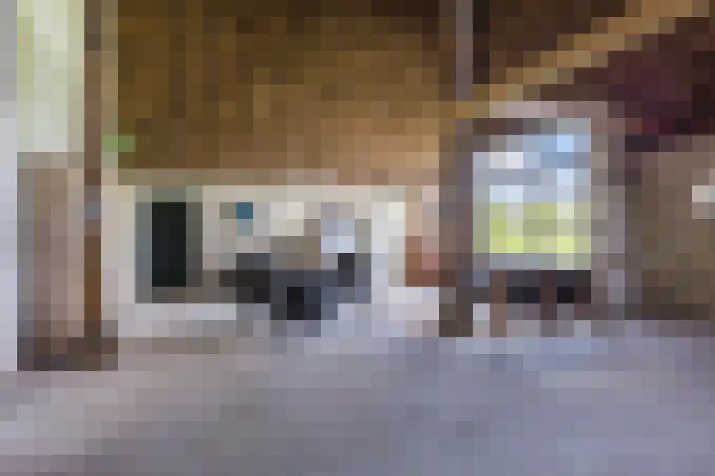 Boerestreek 1 Lippenhuizen thumbnail 66