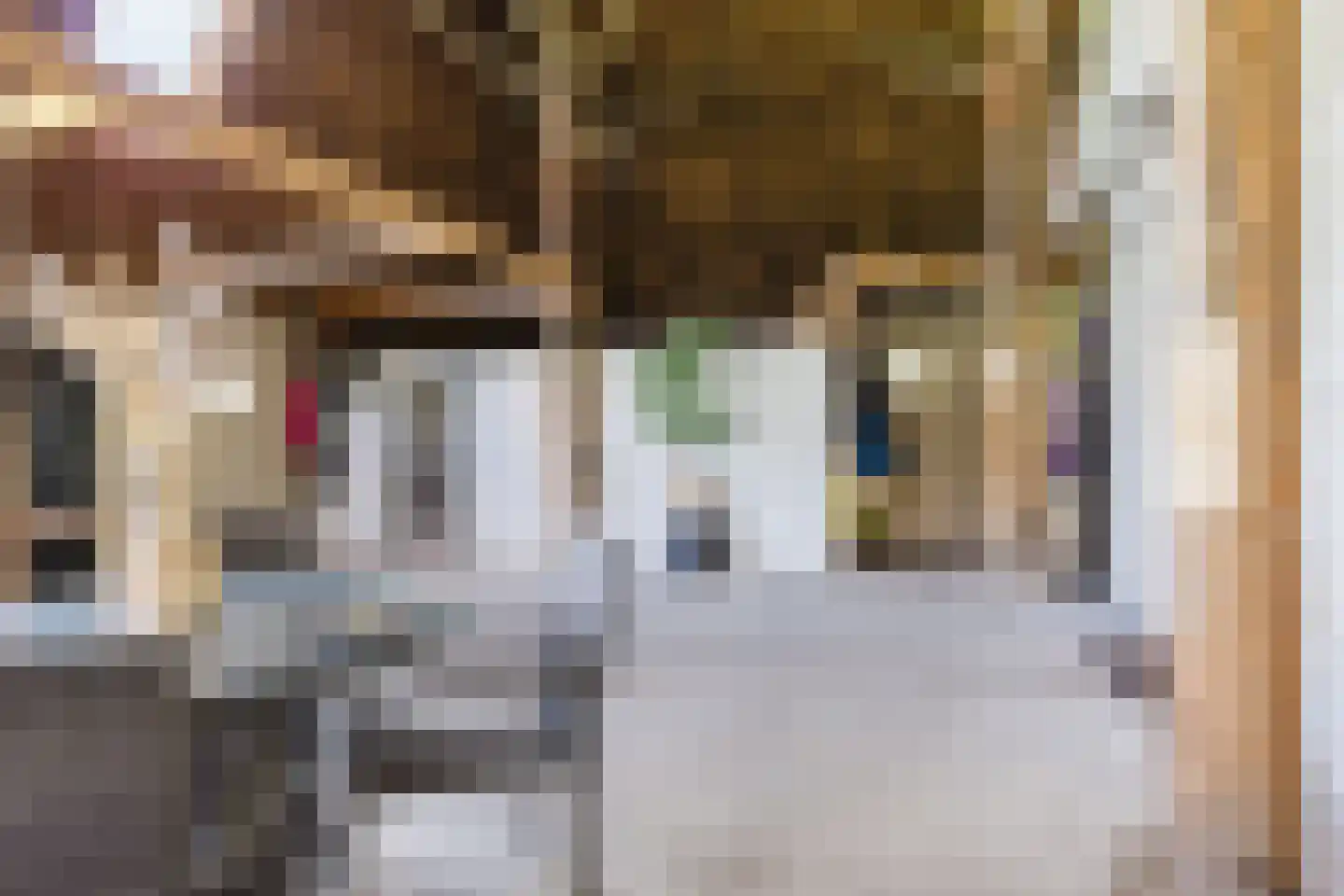 Boerestreek 1 Lippenhuizen thumbnail 67