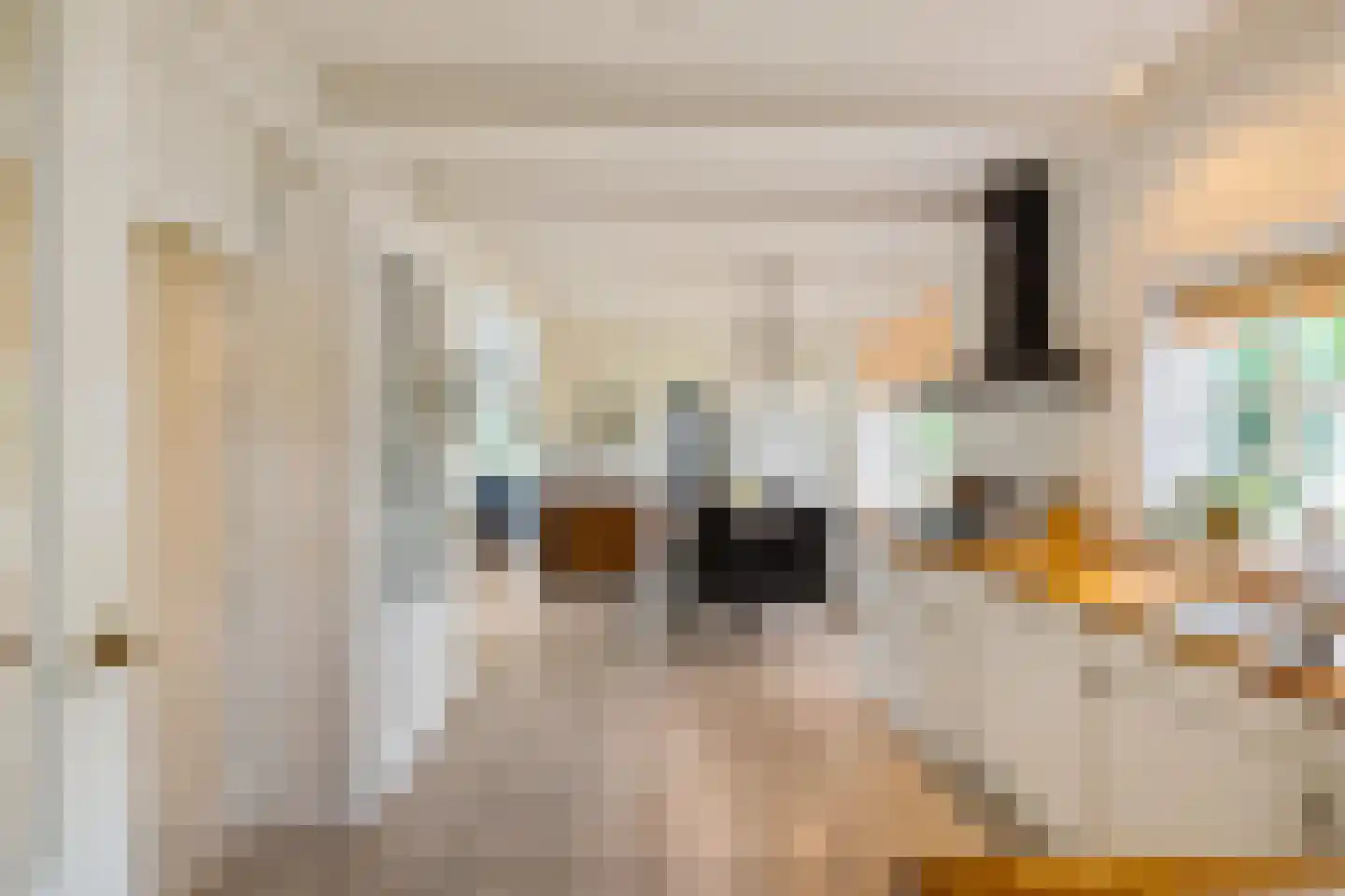 Boerestreek 25 Appelscha thumbnail 10