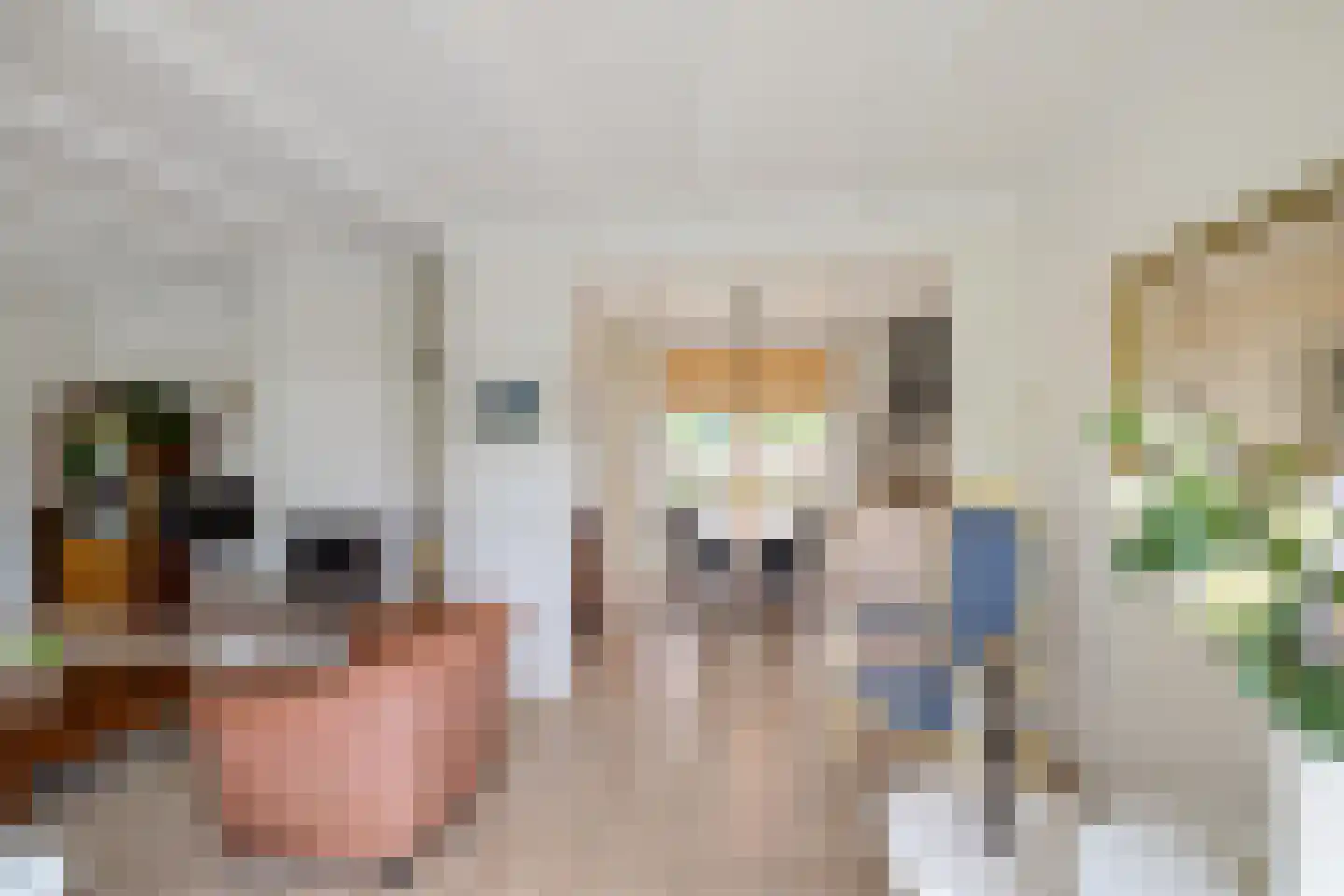 Boerestreek 25 Appelscha thumbnail 17