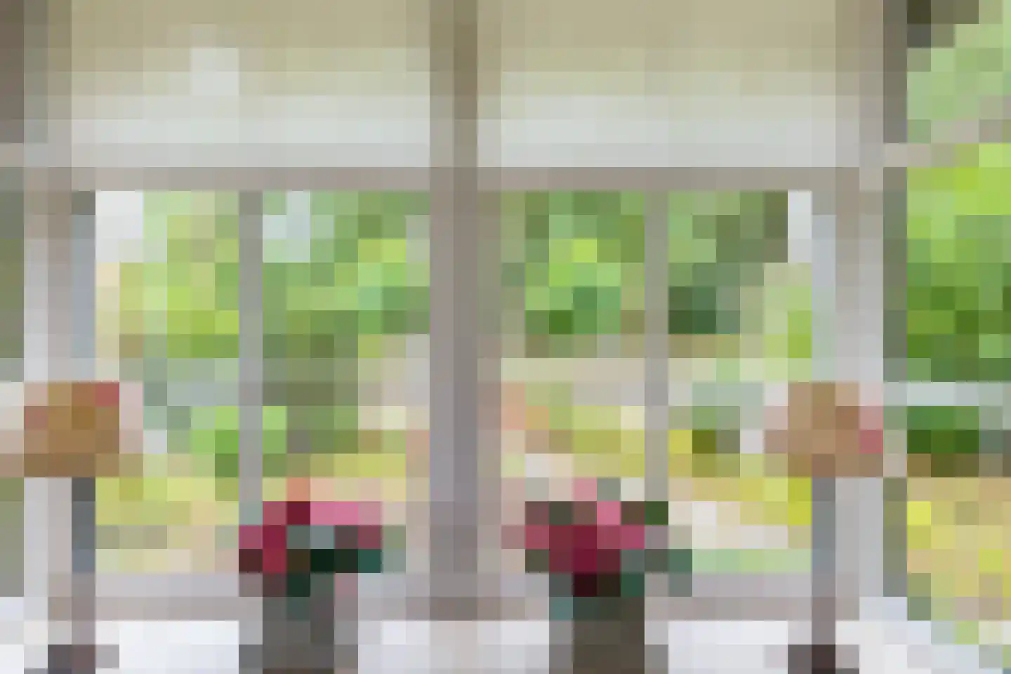 Boerestreek 25 Appelscha thumbnail 18