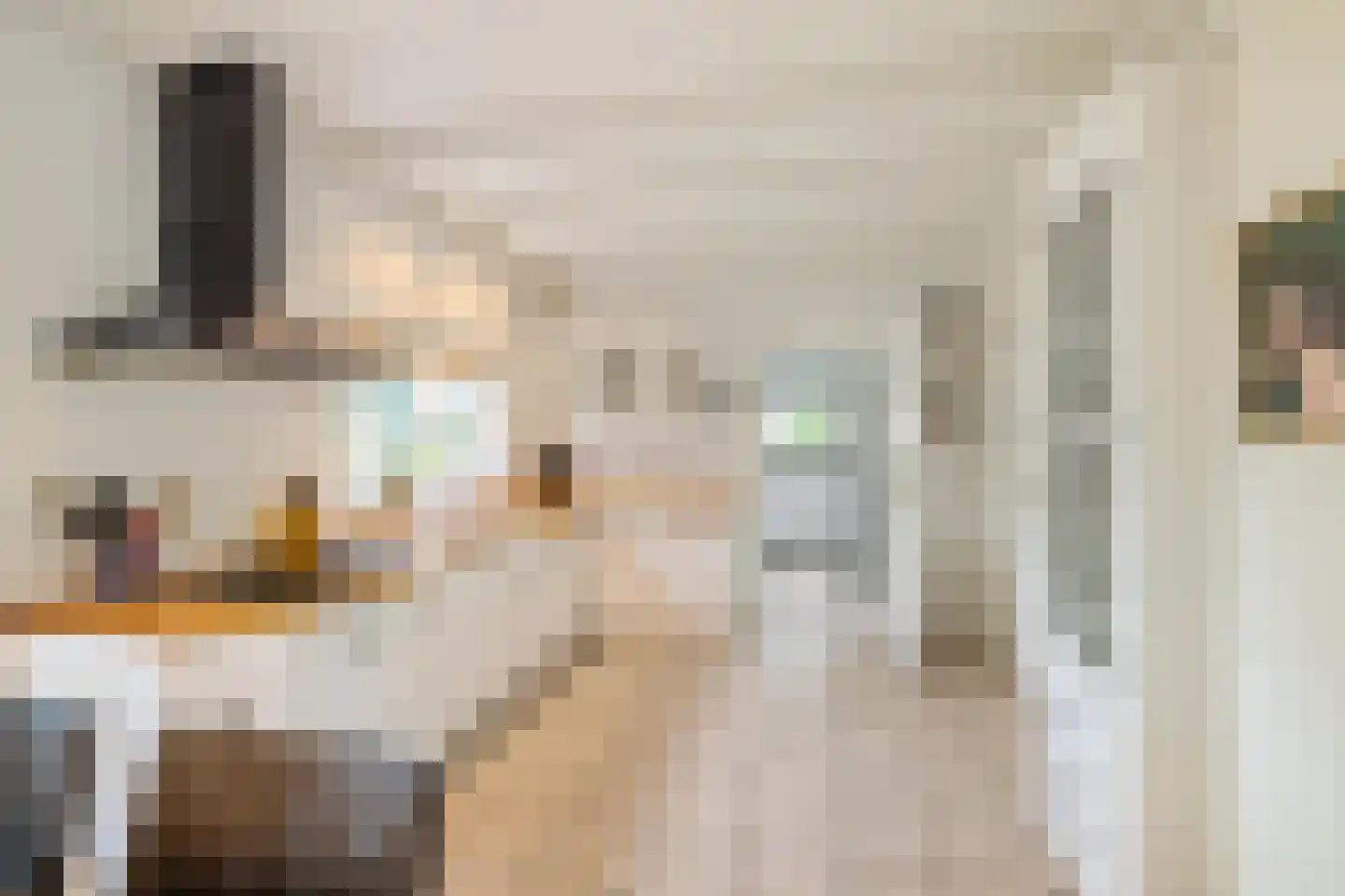 Boerestreek 25 Appelscha thumbnail 20