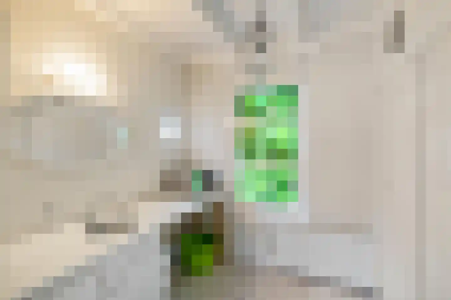 Boerestreek 25 Appelscha thumbnail 21