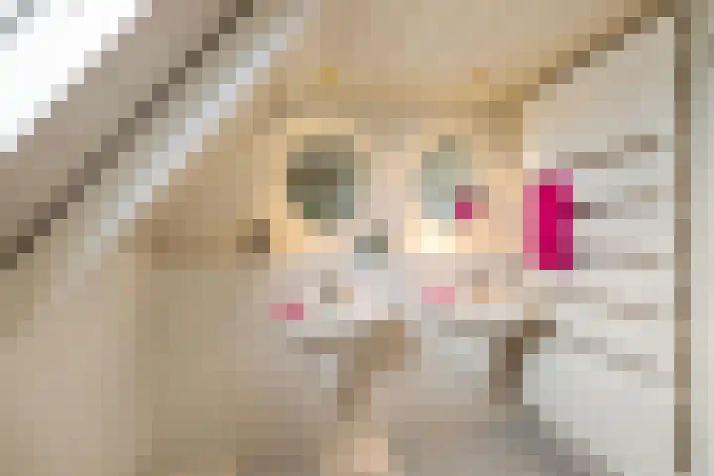 Boerestreek 25 Appelscha thumbnail 32