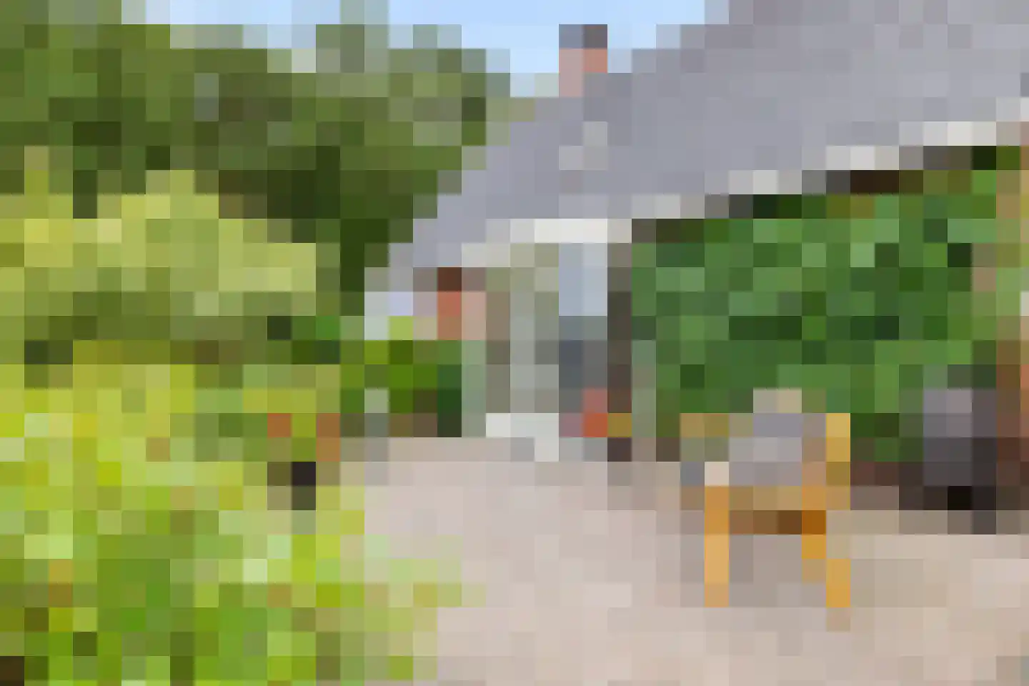 Boerestreek 25 Appelscha thumbnail 36