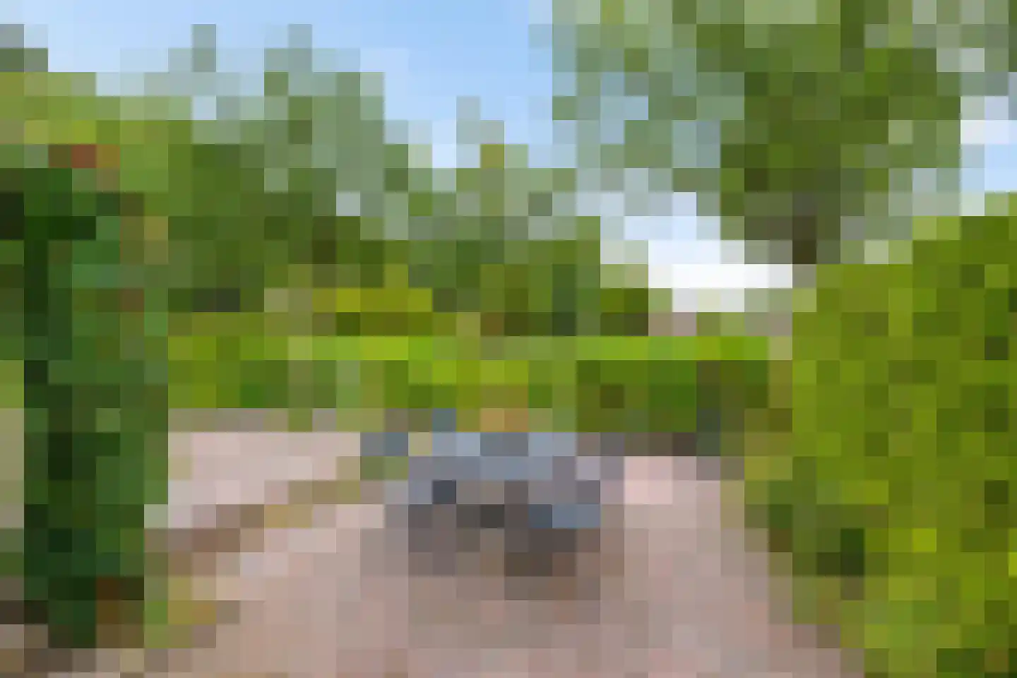 Boerestreek 25 Appelscha thumbnail 37