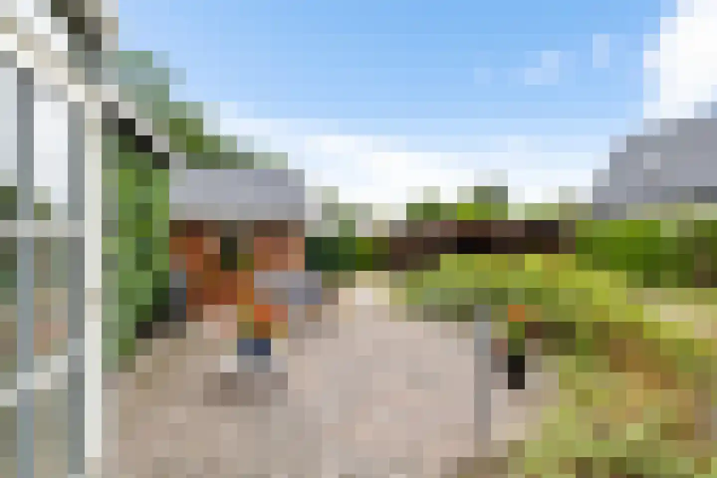 Boerestreek 25 Appelscha thumbnail 38