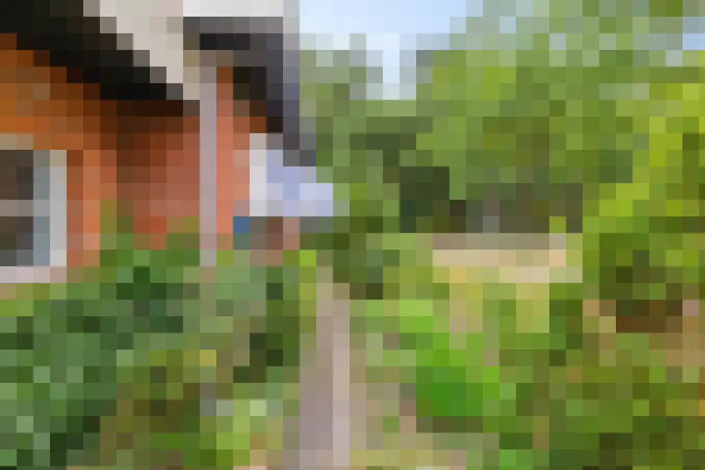 Boerestreek 25 Appelscha thumbnail 39
