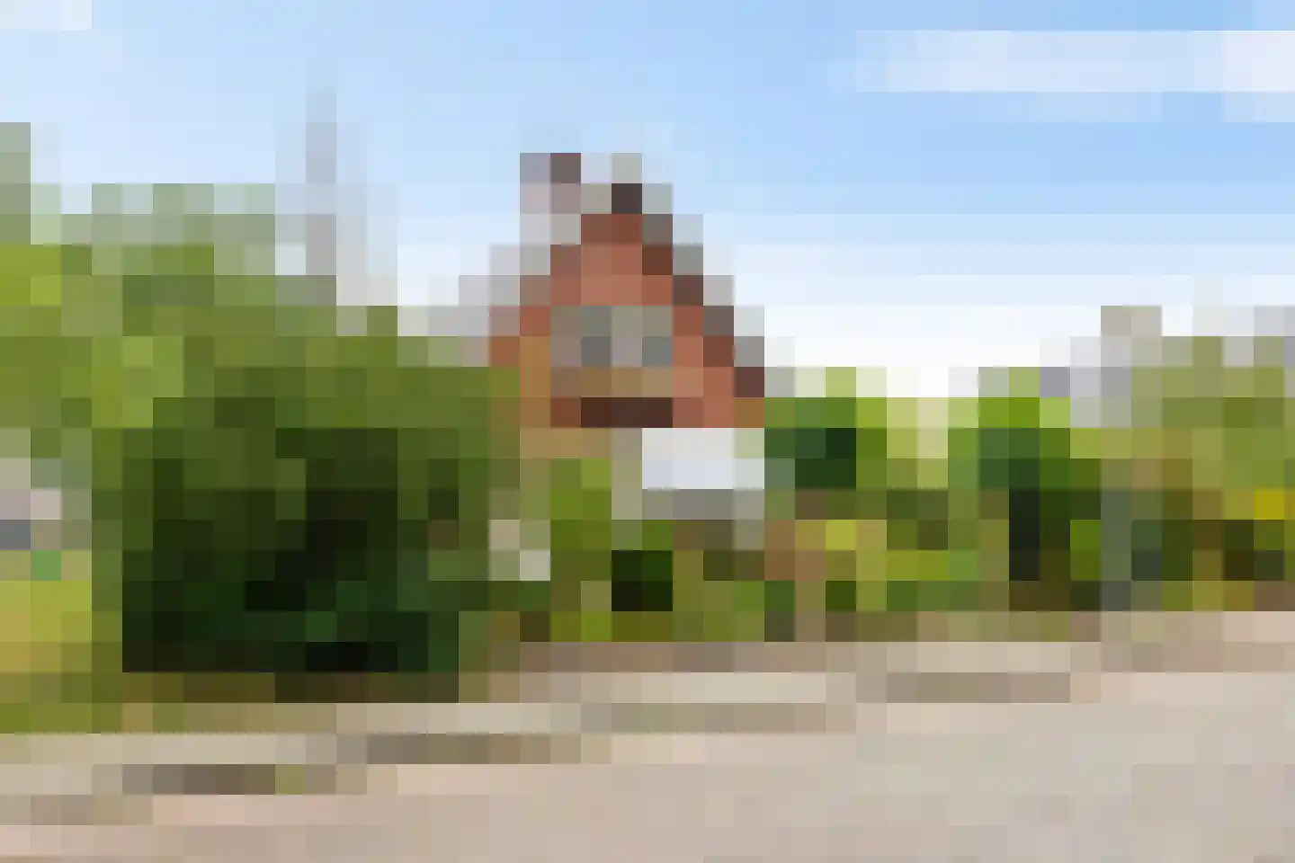 Boerestreek 25 Appelscha thumbnail 41