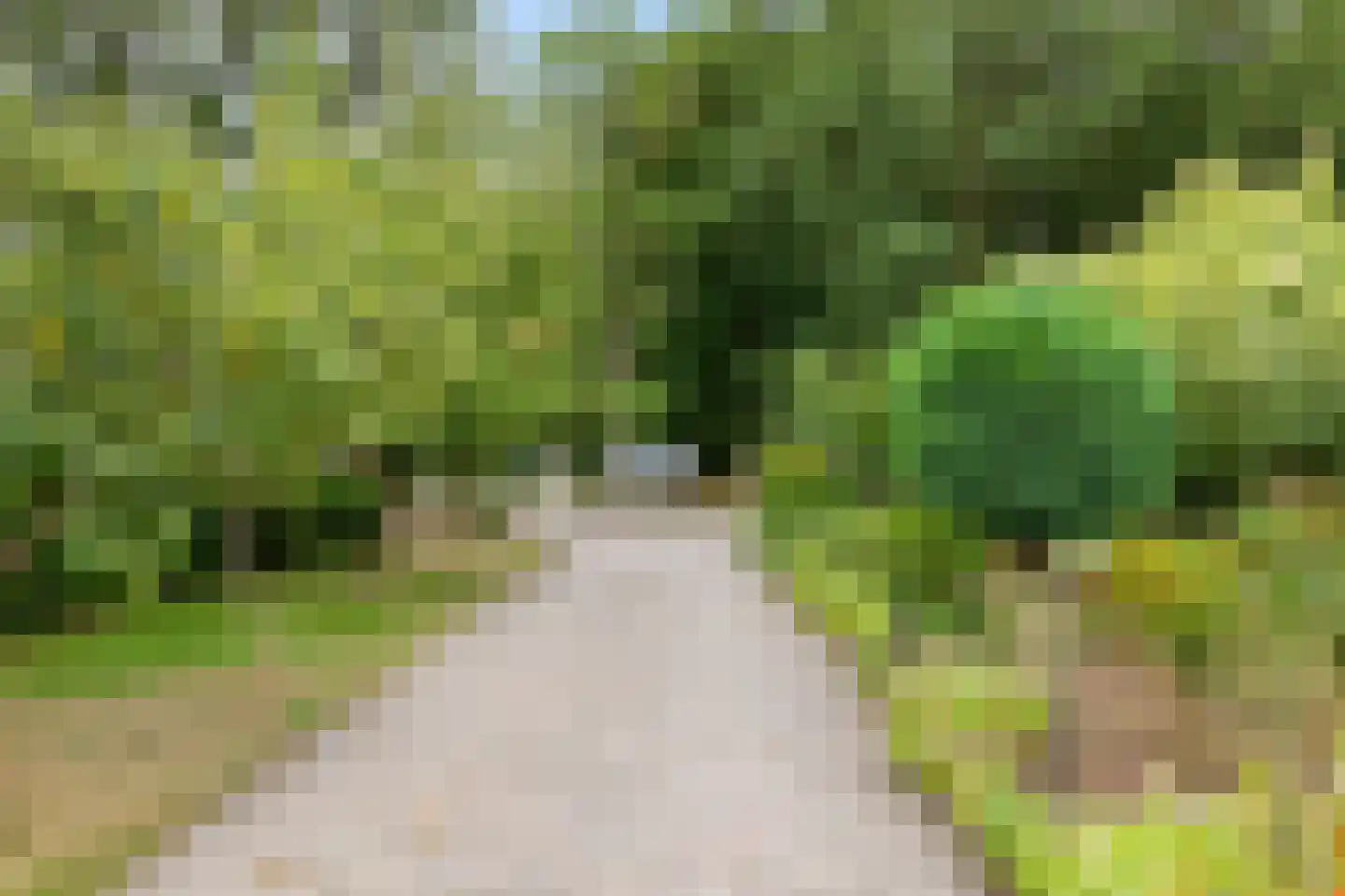 Boerestreek 25 Appelscha thumbnail 42