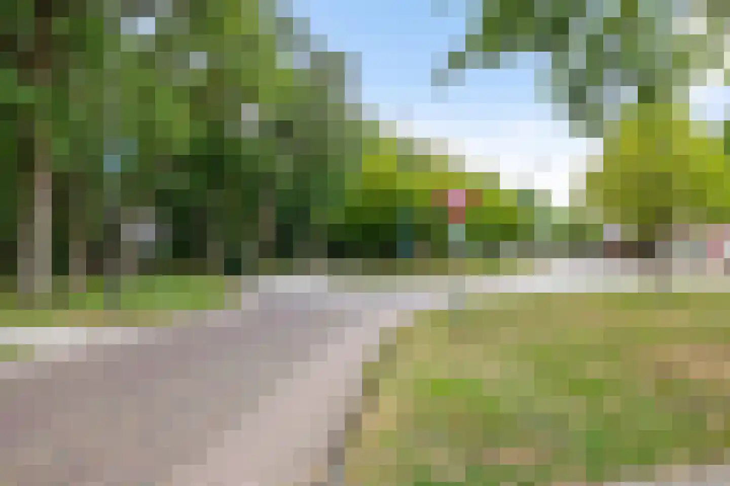 Boerestreek 25 Appelscha thumbnail 43