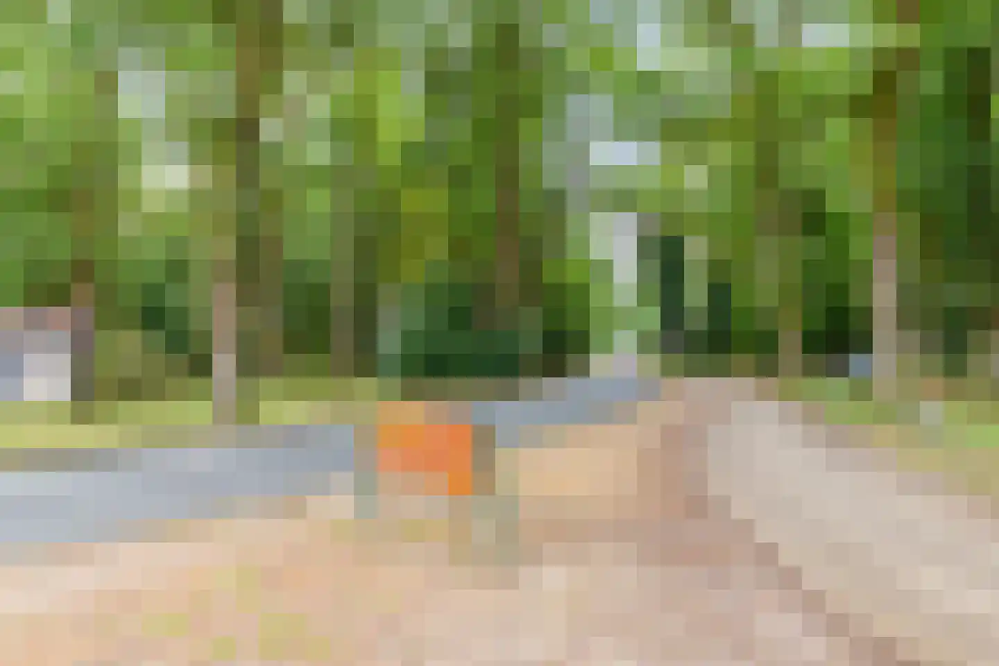 Boerestreek 25 Appelscha thumbnail 44