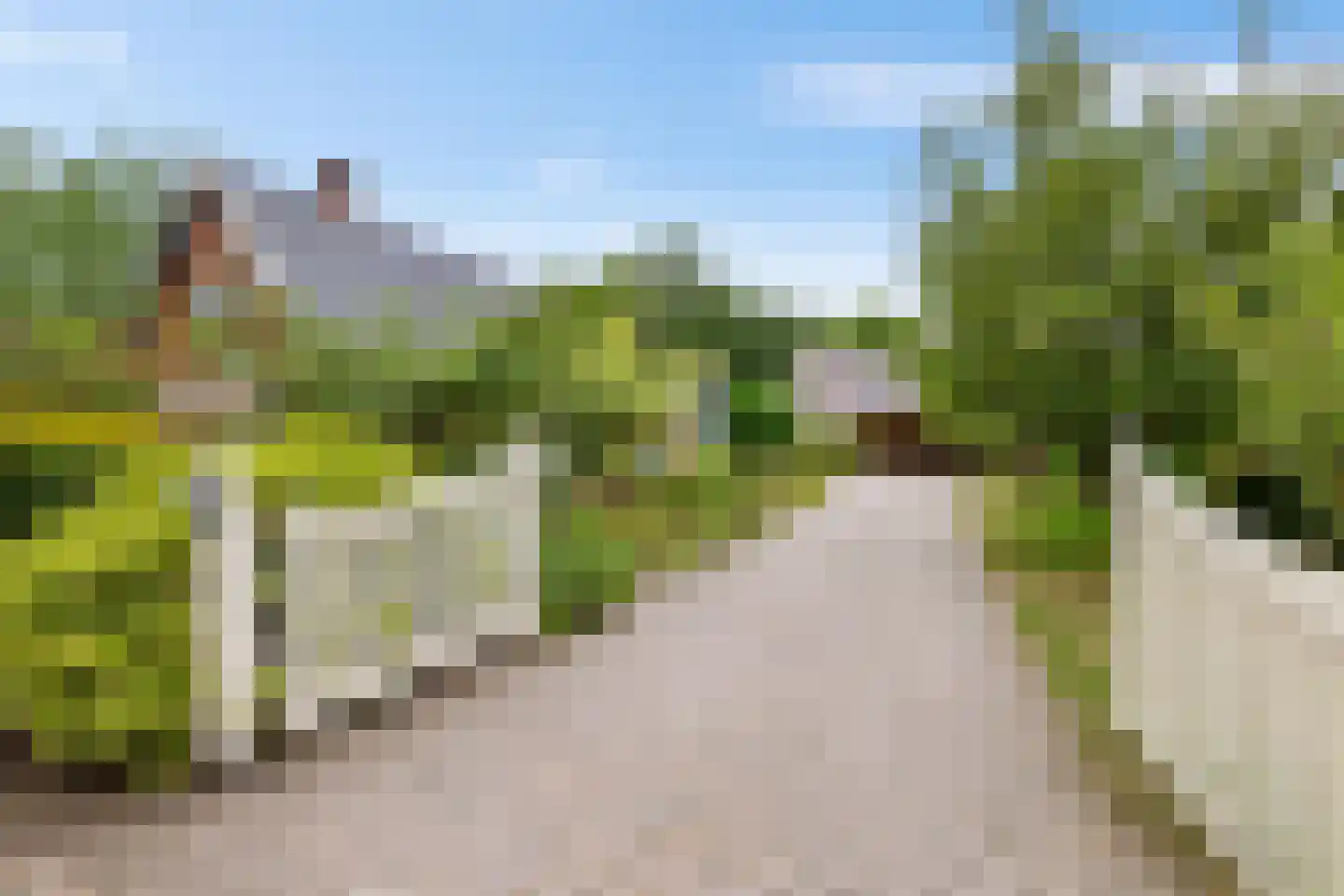 Boerestreek 25 Appelscha thumbnail 5