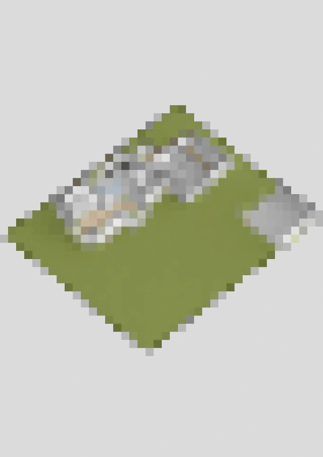 Boerestreek 25 Appelscha thumbnail 56
