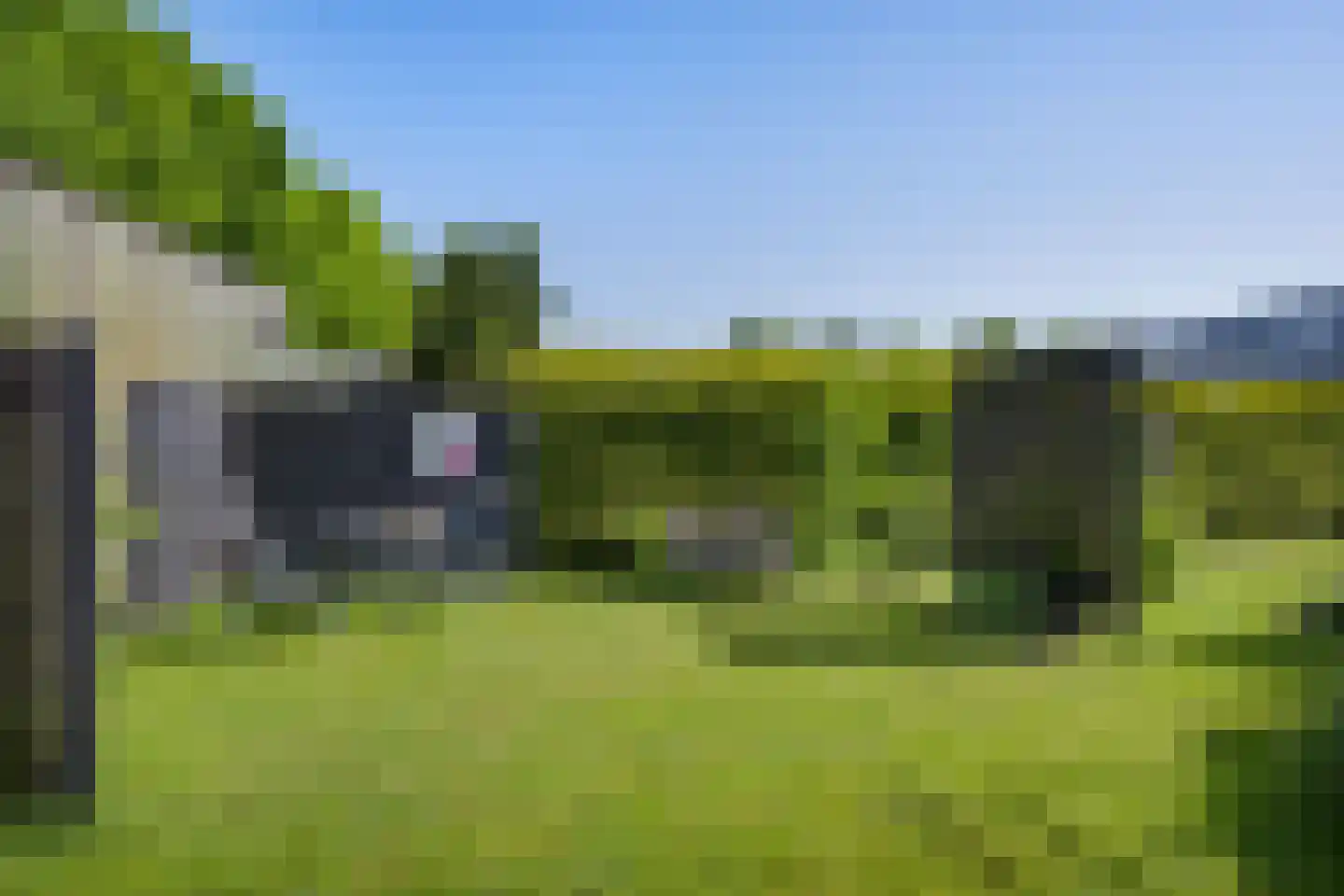 Boerestreek 3 Ureterp thumbnail 37