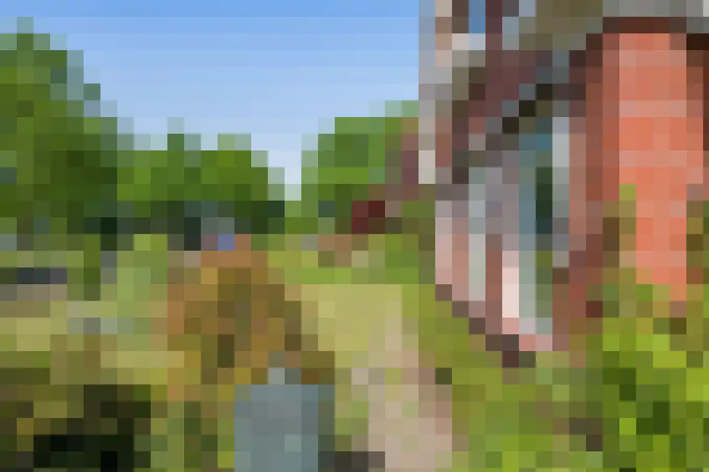 Boerestreek 3 Ureterp thumbnail 40