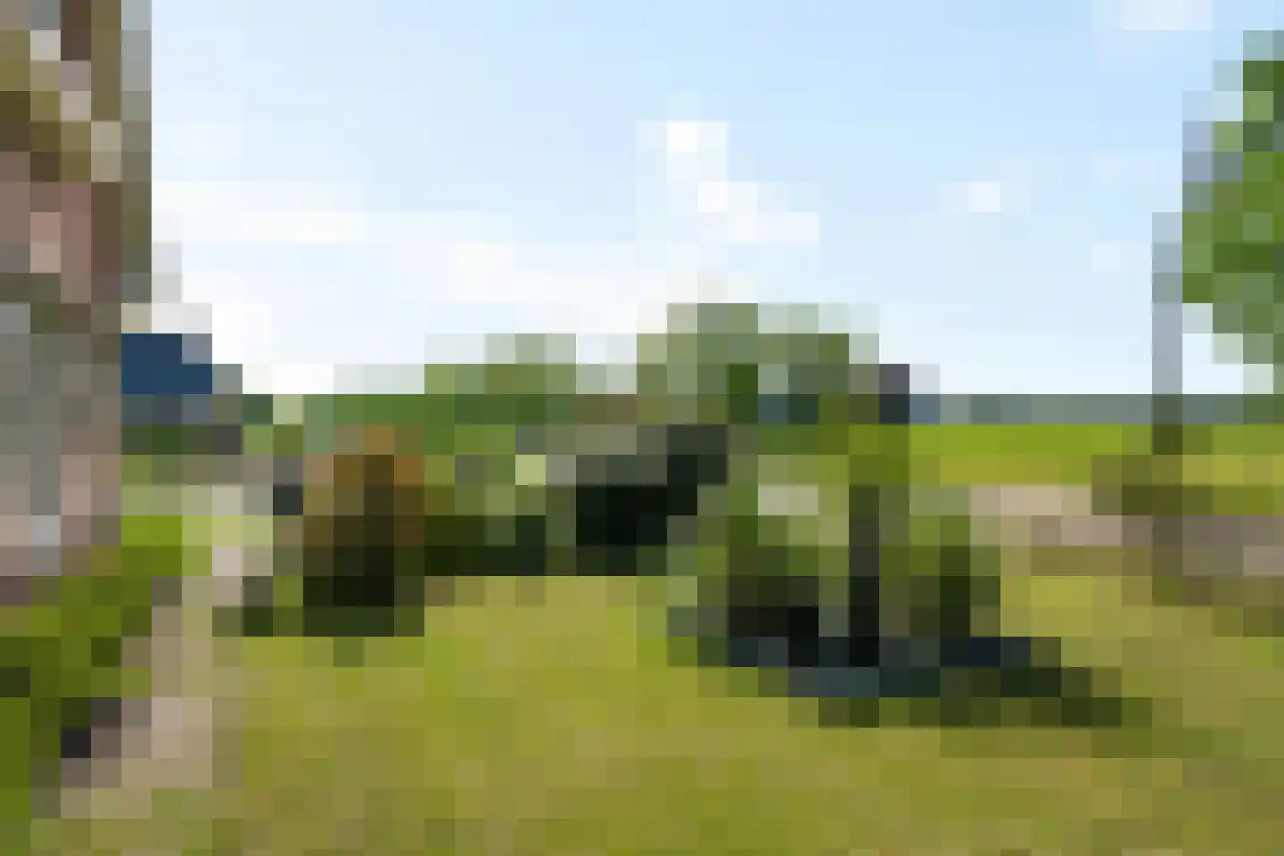 Boerestreek 3 Ureterp thumbnail 41