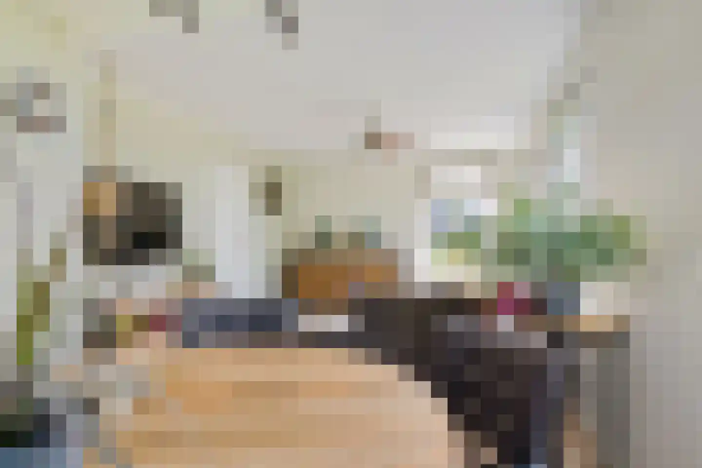Boerestreek 3 Ureterp thumbnail 9