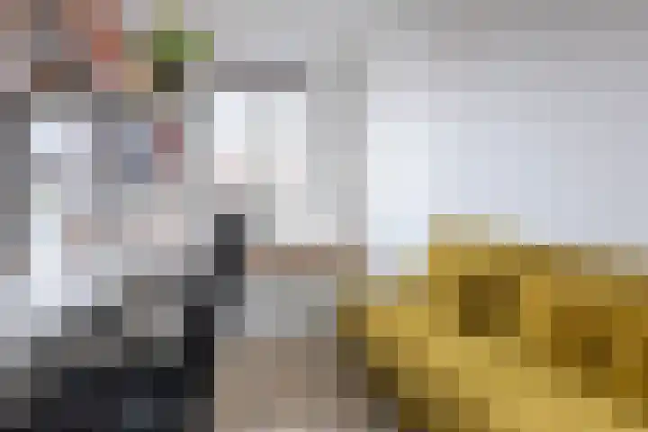 Boerevest 14 Bergen op Zoom thumbnail 19