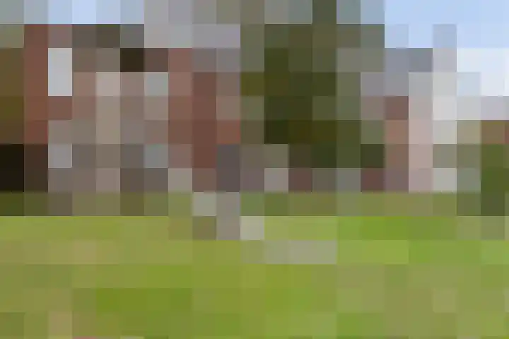 Boerevest 14 Bergen op Zoom thumbnail 28