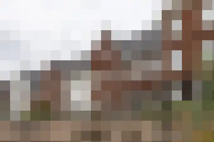 Boerevest 14 Bergen op Zoom thumbnail 29