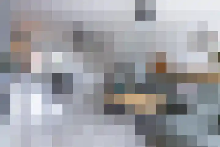 Boerevest 14 Bergen op Zoom thumbnail 5