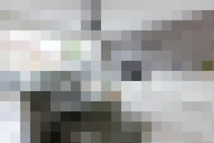 Boerevest 14 Bergen op Zoom thumbnail 6