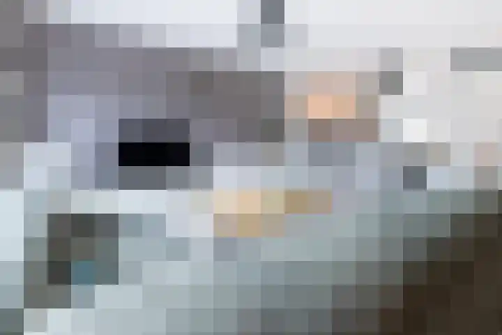 Boerevest 14 Bergen op Zoom thumbnail 7