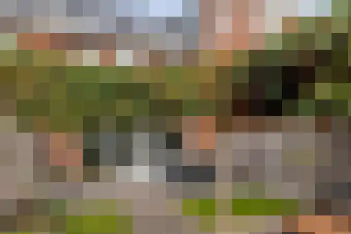 Boerevest 30 Bergen op Zoom thumbnail 30