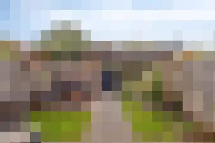 Boerevest 30 Bergen op Zoom thumbnail 31