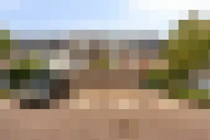 Boerevest 30 Bergen op Zoom thumbnail 32