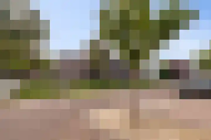 Boerevest 30 Bergen op Zoom thumbnail 33