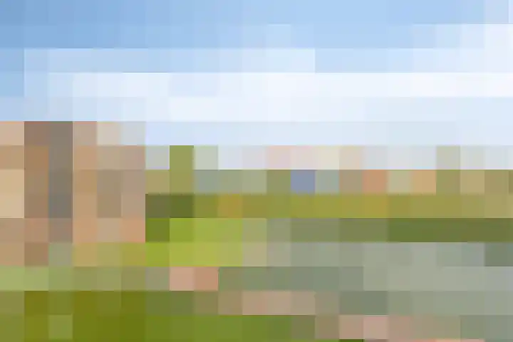 Boerevest 30 Bergen op Zoom thumbnail 38