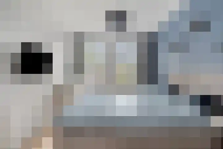 Boerevest 30 Bergen op Zoom thumbnail 4