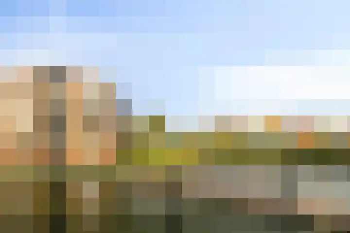 Boerevest 30 Bergen op Zoom thumbnail 40