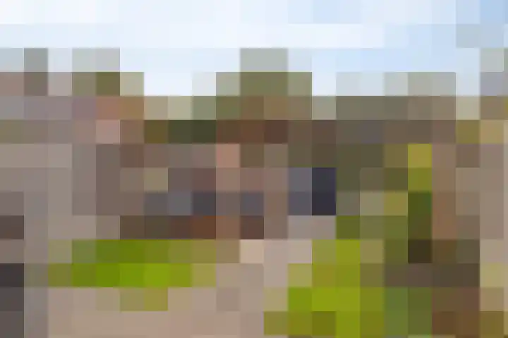 Boerevest 30 Bergen op Zoom thumbnail 5