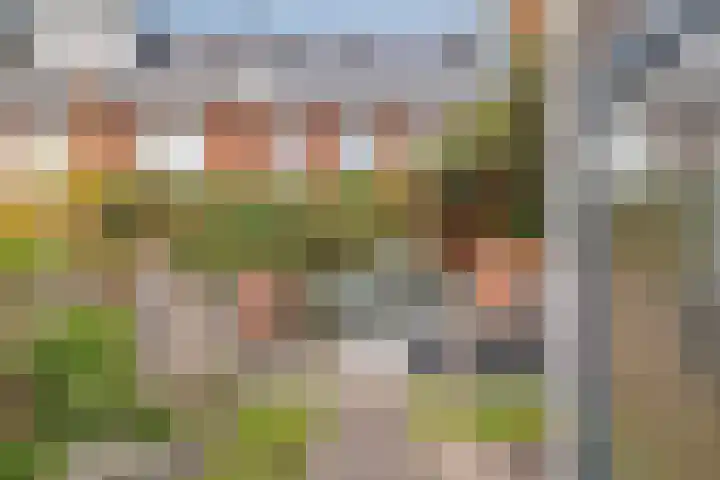 Boerevest 30 Bergen op Zoom thumbnail 6