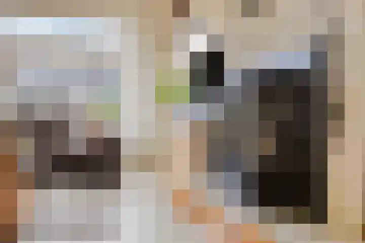 Boereweide 26 Oosterwolde thumbnail 10