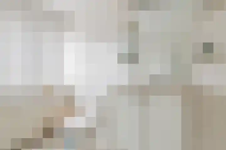 Boereweide 26 Oosterwolde thumbnail 20