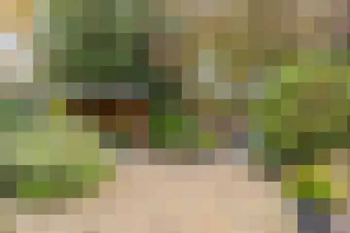 Boereweide 26 Oosterwolde thumbnail 27
