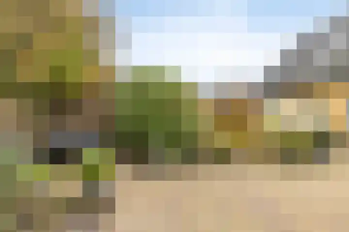 Boereweide 26 Oosterwolde thumbnail 29