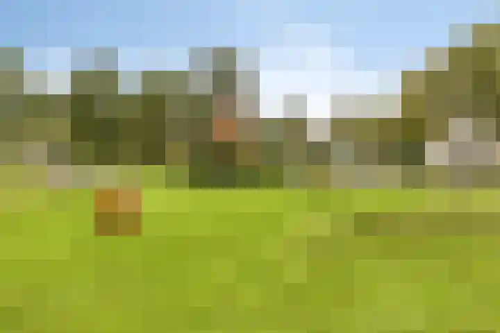 Boereweide 26 Oosterwolde thumbnail 31