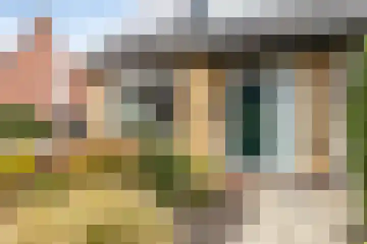 Boereweide 26 Oosterwolde thumbnail 5