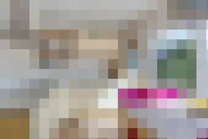 Boereweide 3 Oosterwolde thumbnail 11