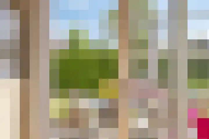 Boereweide 3 Oosterwolde thumbnail 13